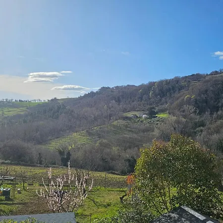 La Valle Delle Api Panzió Cingoli