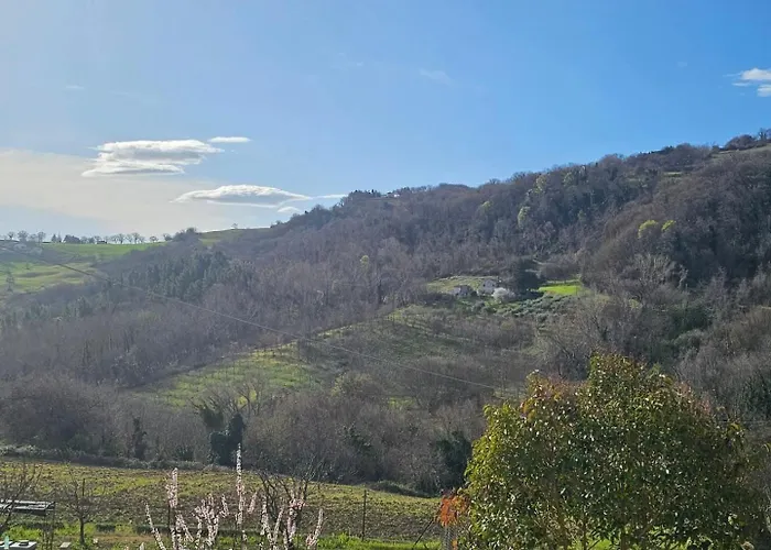 La Valle Delle Api Bed & Breakfast Cingoli